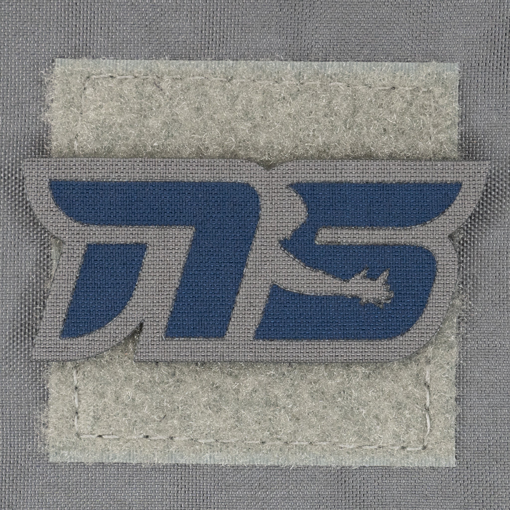 Ambassador Patches
