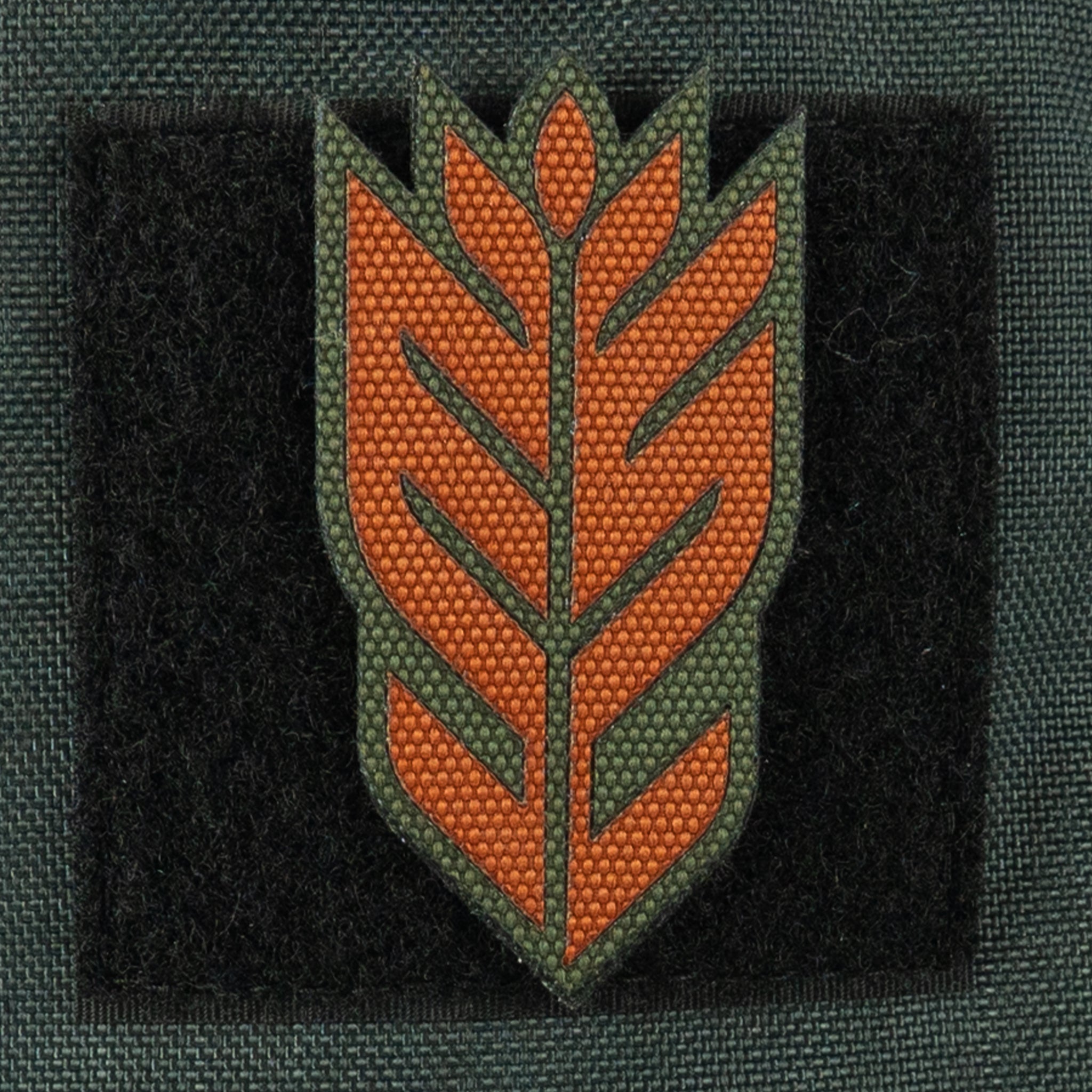 Ambassador Patches