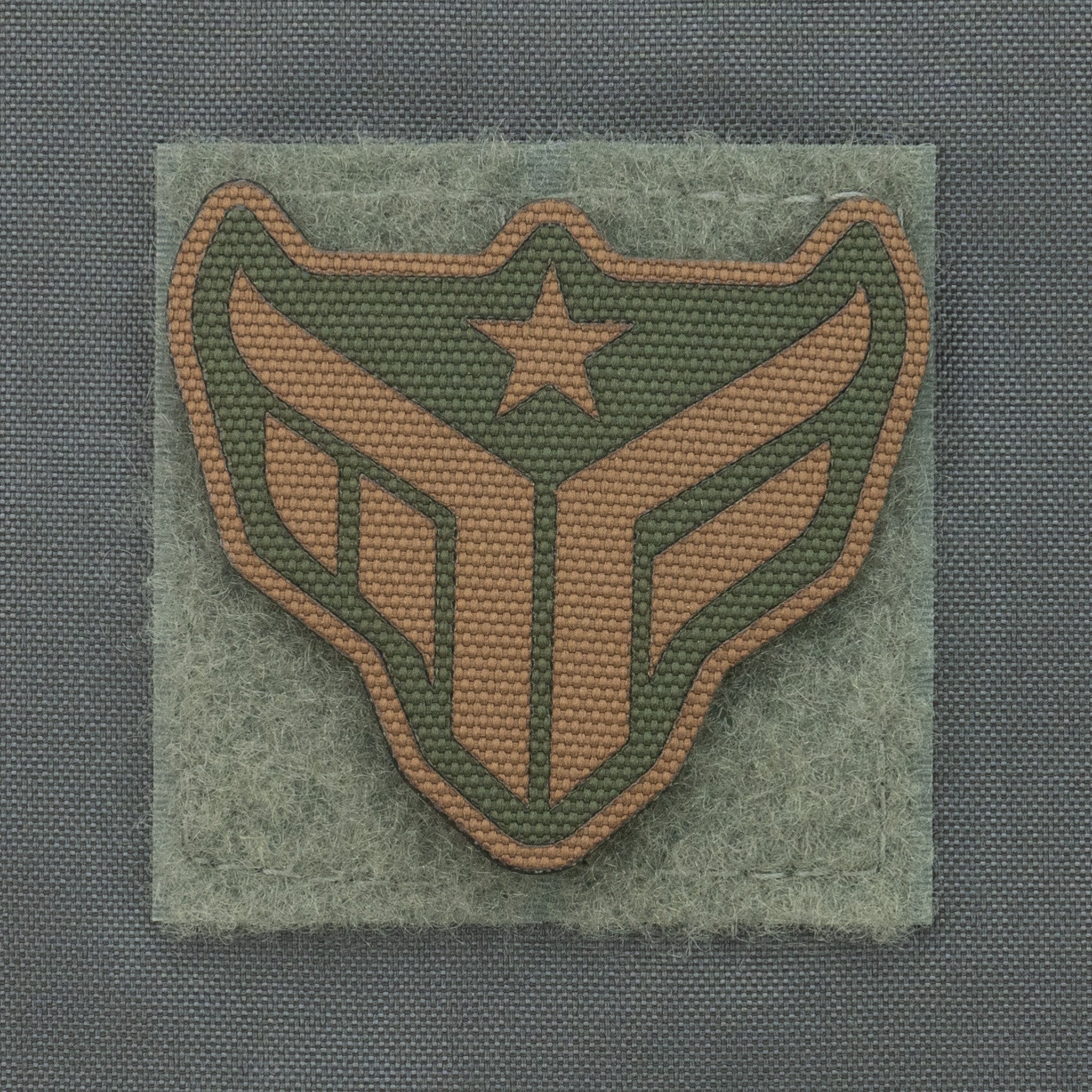 Ambassador Patches