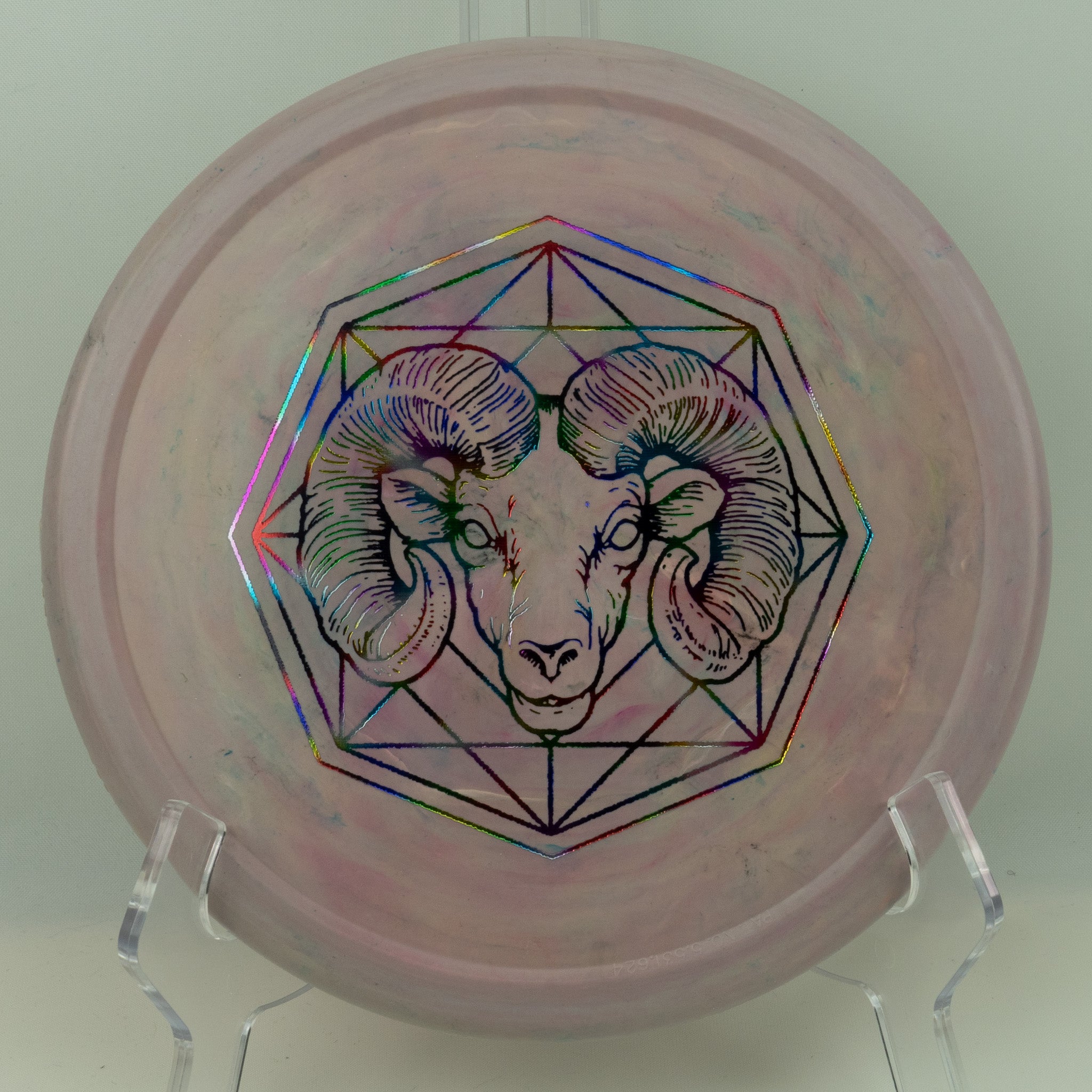 Innova XT Pig